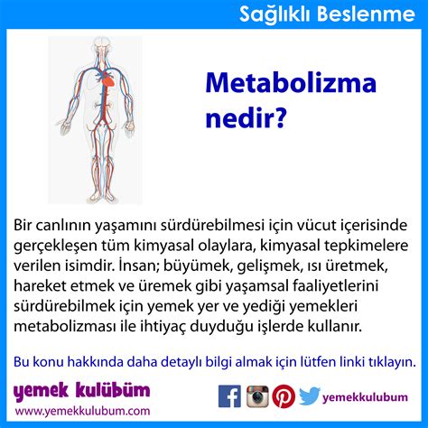 metabolizma nedir